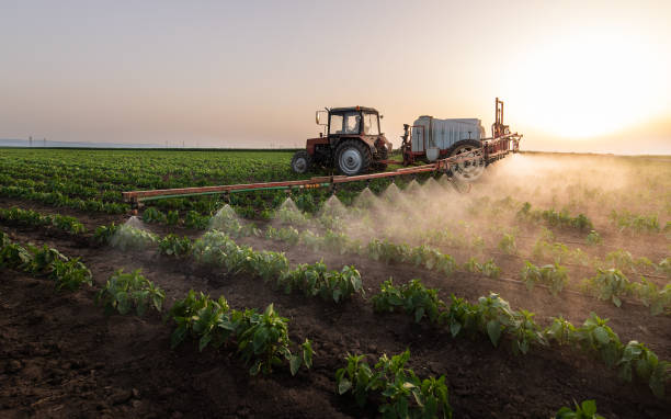 Best Best Pest Control Companies  in La Crosse, KS