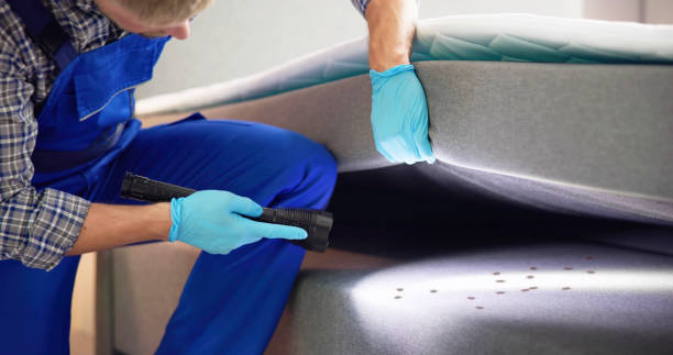 Best Flea Control Services  in La Crosse, KS